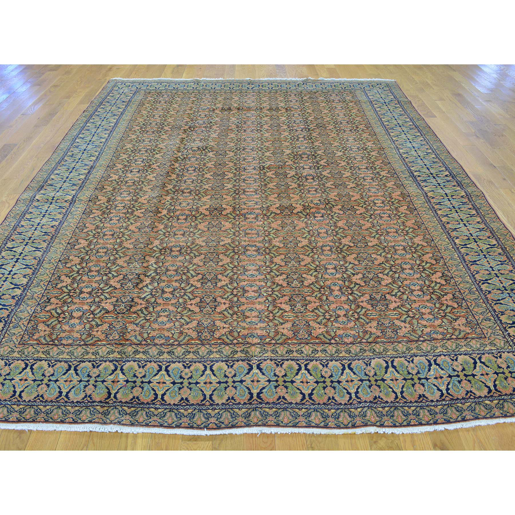 Traditional Wool Hand-Knotted Area Rug 7'2